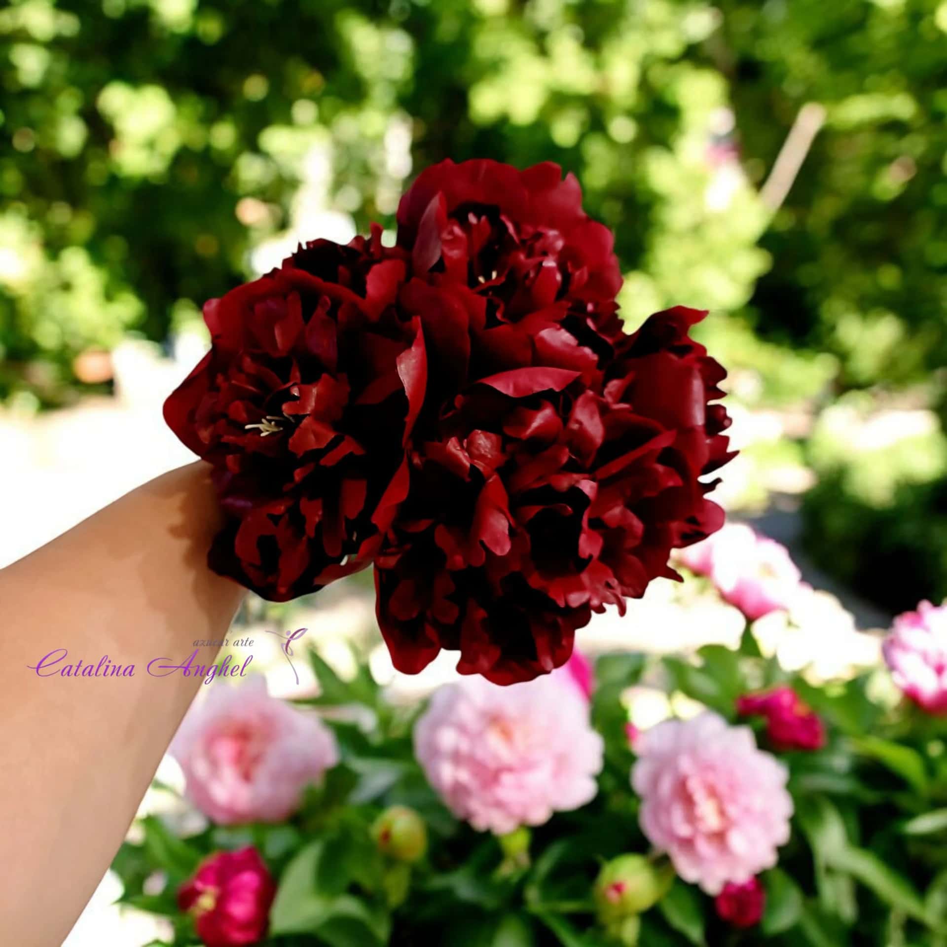 Pisani Florist — main photo
